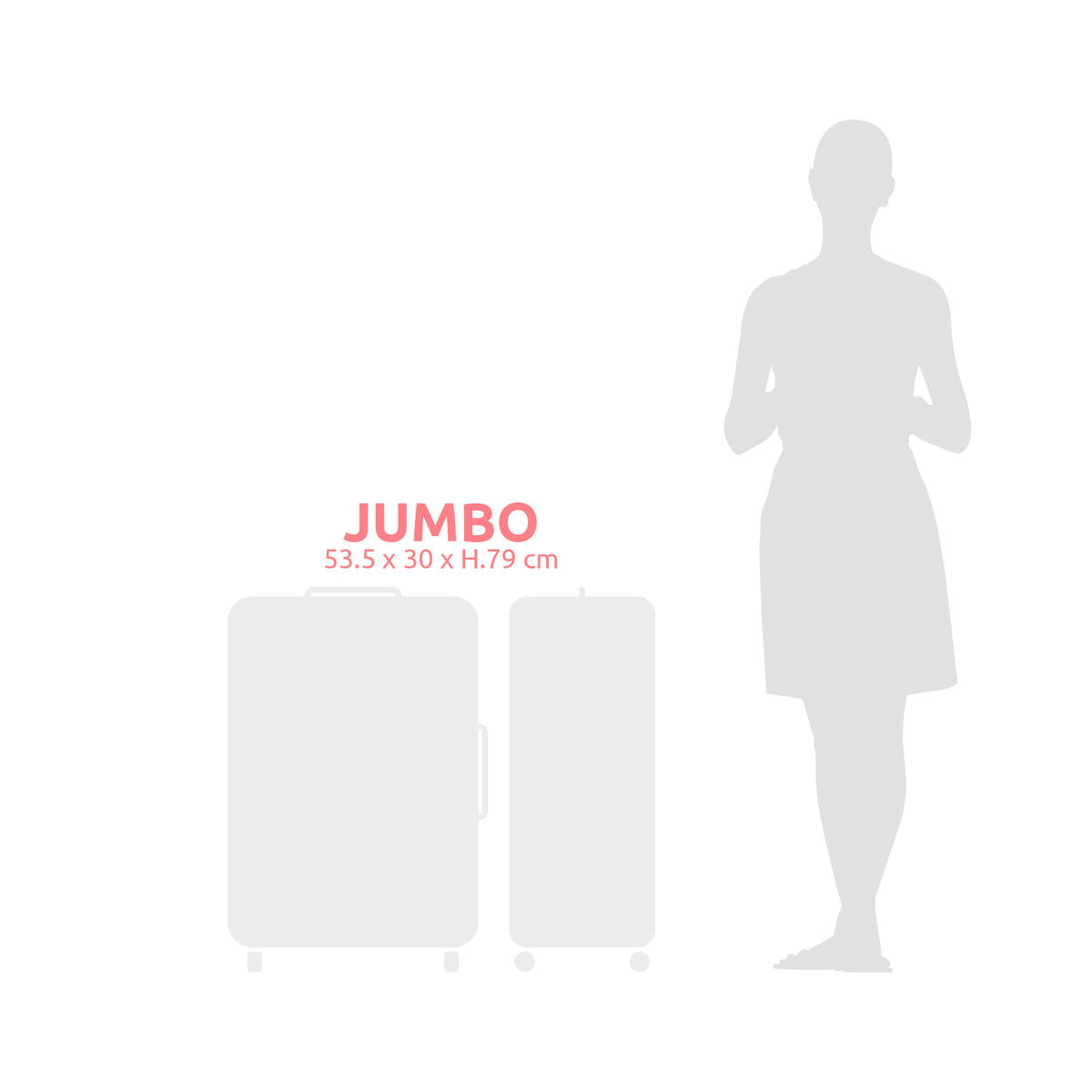 Valise gain de place XL + pèse valise + pompe manuelle
